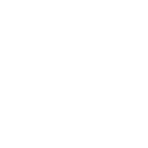 Kozbi Vision